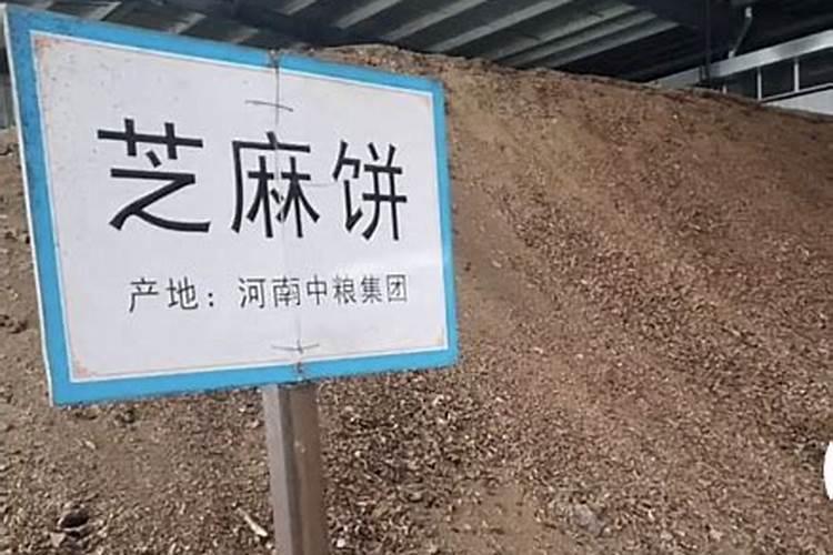 玉米苗期喷什么叶面肥