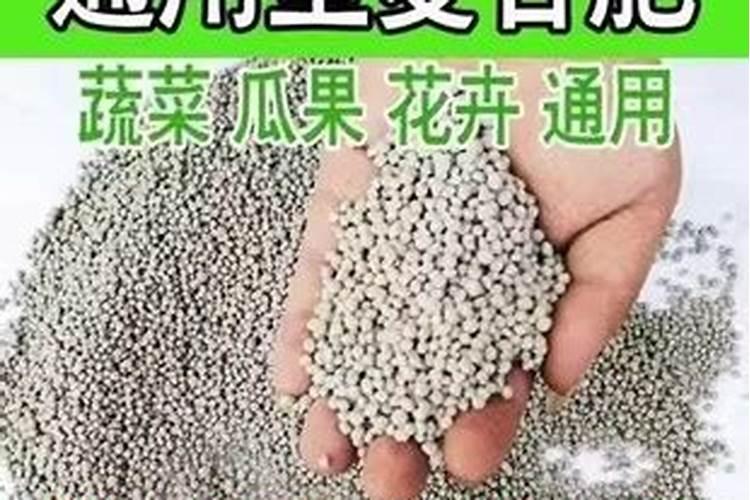 有哪些花能用氮肥