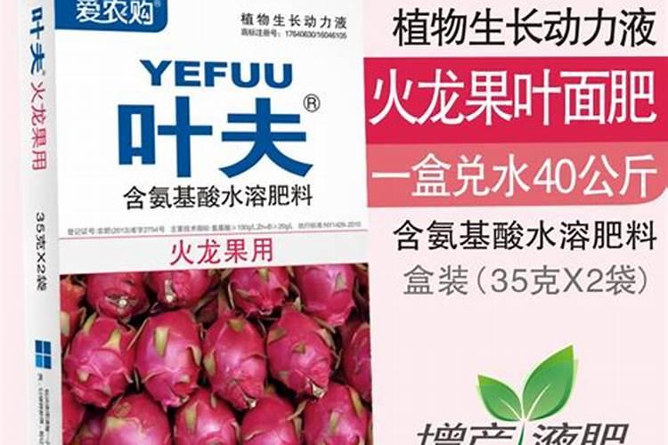 火龙果打什么药好