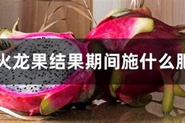 磷酸二氢钾用来根施好还是做叶面肥好？火龙果