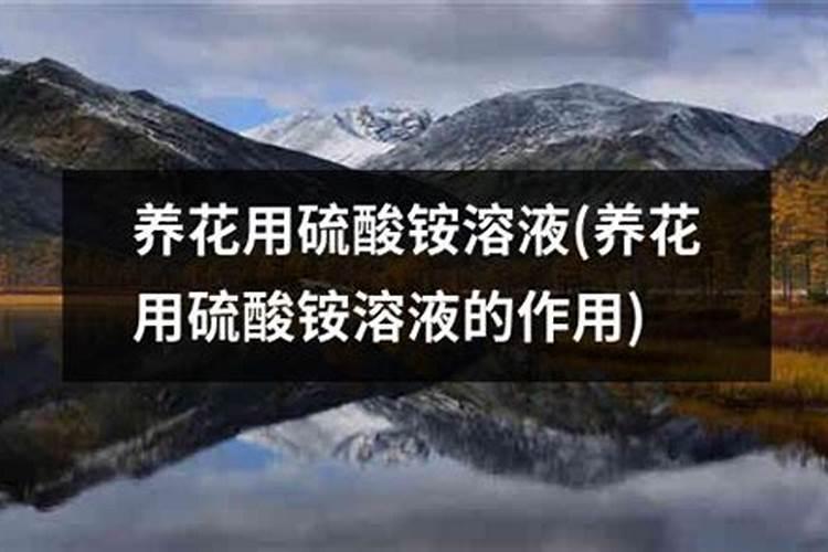 茶花施什么肥料最好最旺