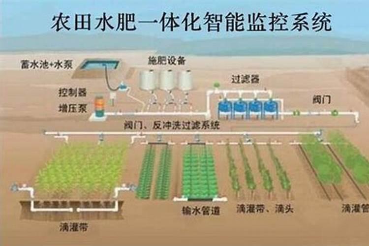 猕猴桃用什么肥料