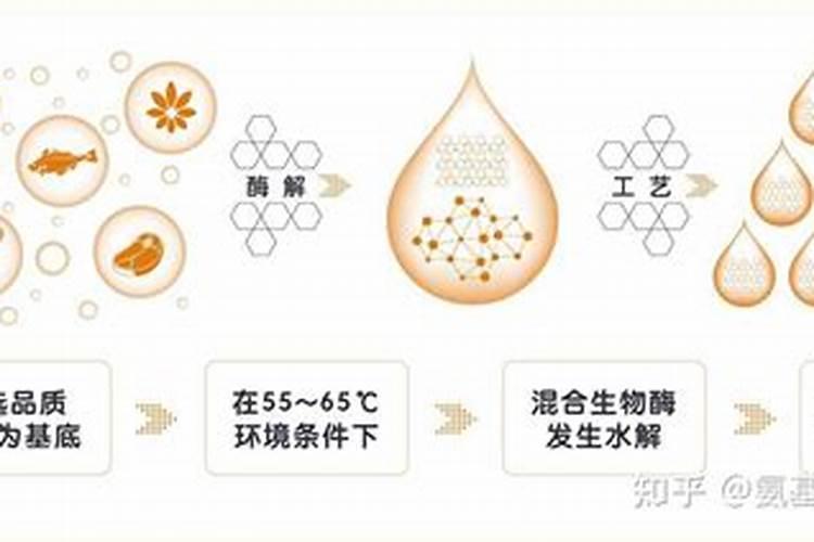 海藻精对植物的作用