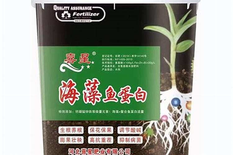 腐植酸、氨基酸、海藻素和鱼蛋白