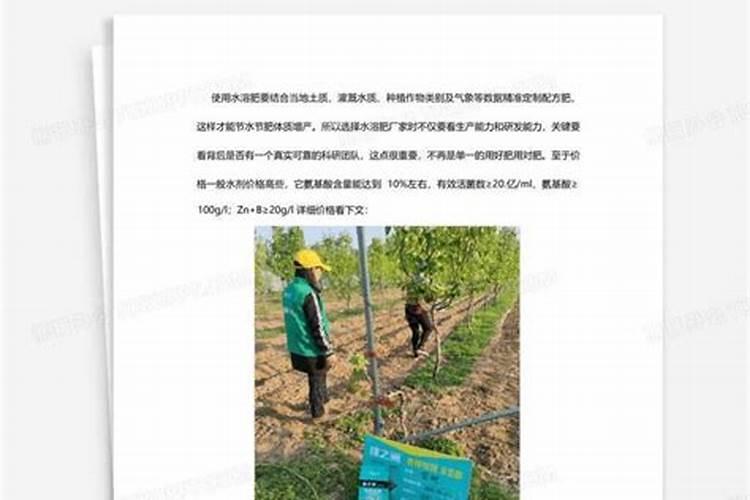 一吨水可以用芸苔素内酯原药多少量在荔枝上少克？