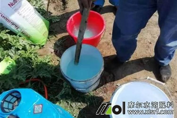 一吨水可以用芸苔素内酯原药多少量在荔枝上少克？
