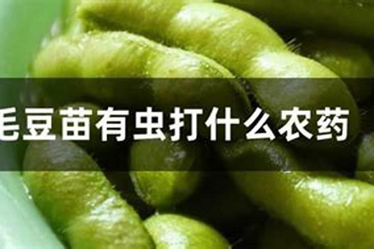 毛豆施叶面肥磷酸二氢钾能加红糖吗？