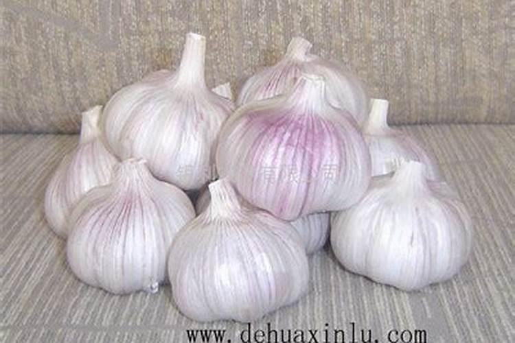 水溶肥可以不兑水用吗 水溶肥料兑水比例是多少