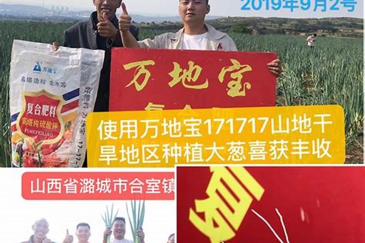 玉米专用肥玉米专用肥的使用技巧