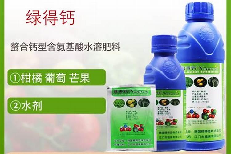七彩云菊是染色的吗