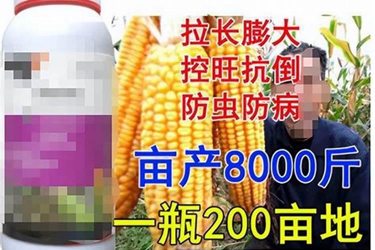 硼肥有膨果作用吗,硼肥是什么肥料
