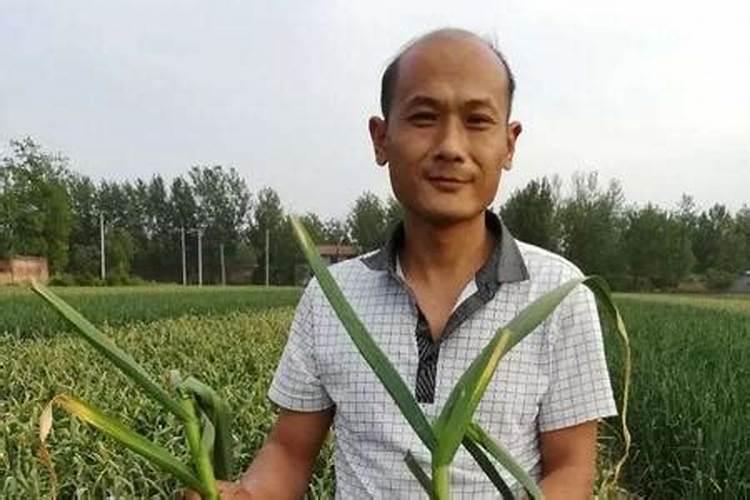 这种肥料用作大蒜底肥能用吗