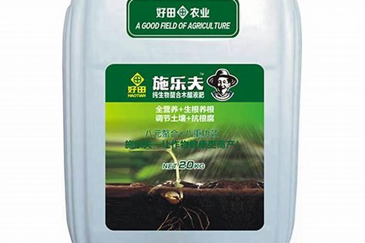 银杏叶有什么作用 分析四大功效有疗效
