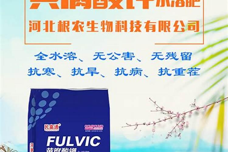 银杏叶的功效与作用