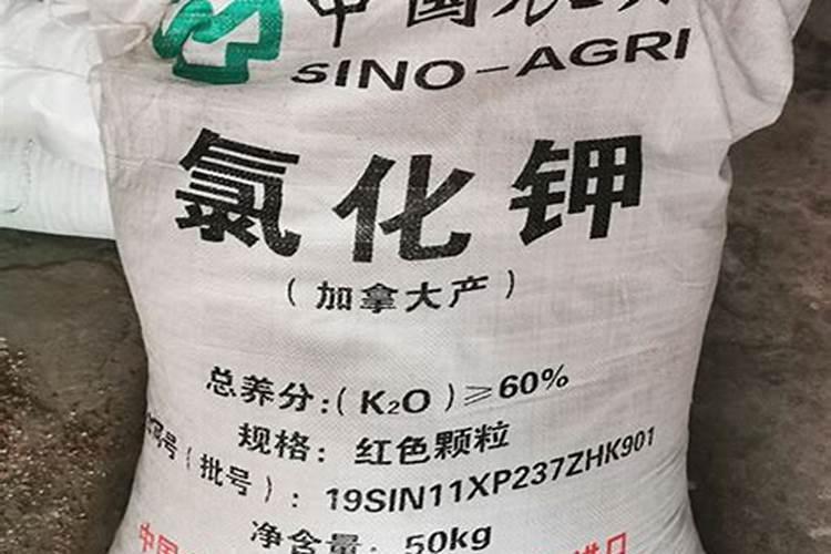 草莓各个时期的施肥方案 什么时候冲高磷肥