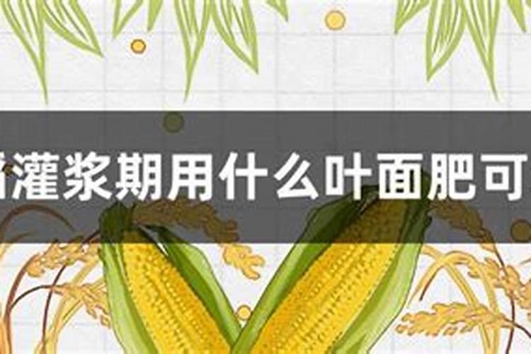 水稻叶面肥哪一种最佳