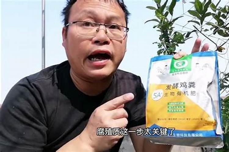 盆栽散尾葵能使用黄腐酸钾吗？