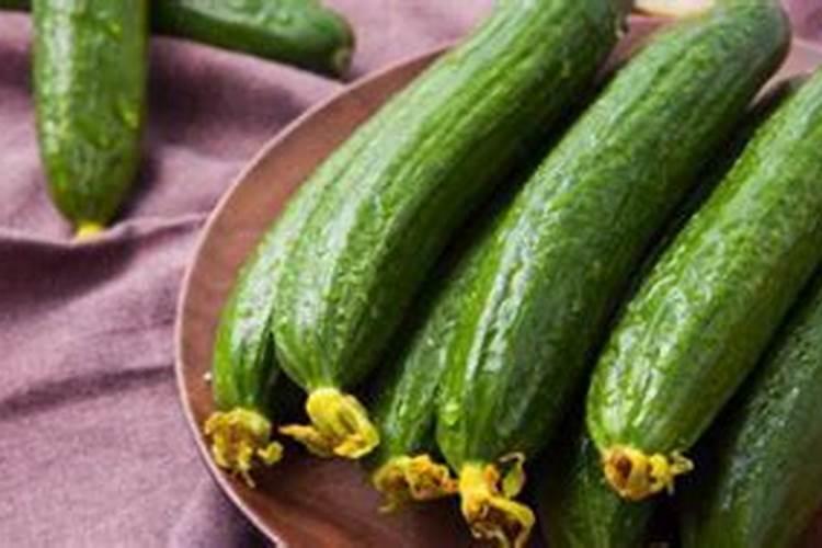黄瓜如何施肥和浇水 用什么肥料产量高