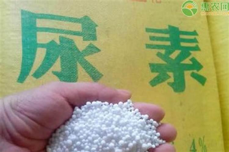 一百斤水三两水溶肥加三两尿素会不会烧根？