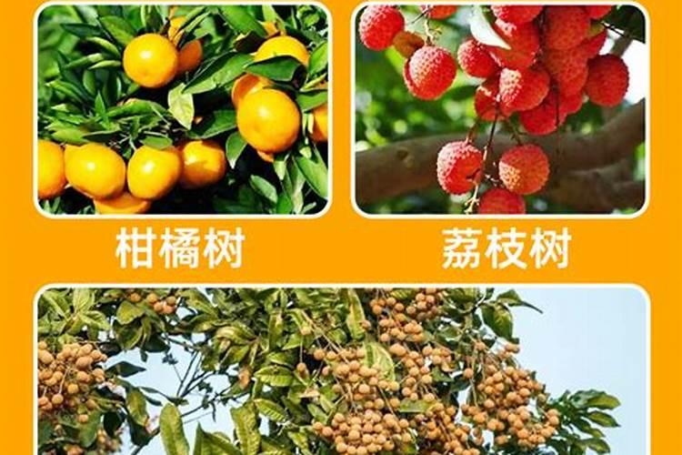 龙眼花果期虫害防治分几个时期？