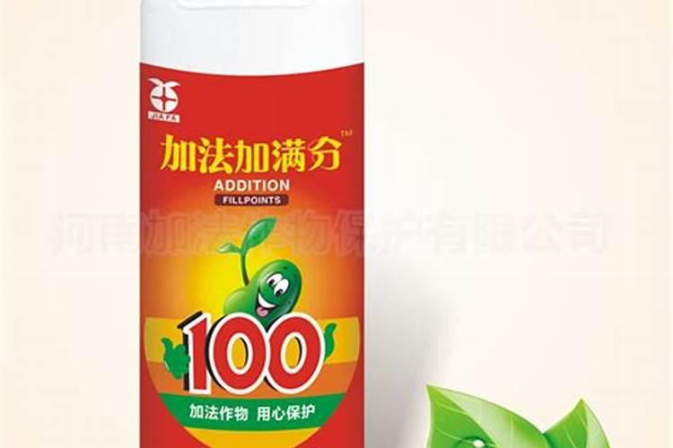 龙眼幼果期的主要害虫,主要病害,管理技术