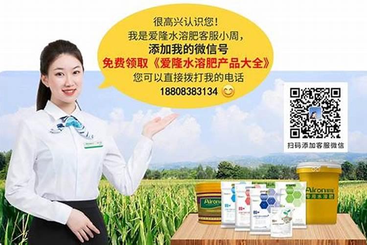 养乐多的花语