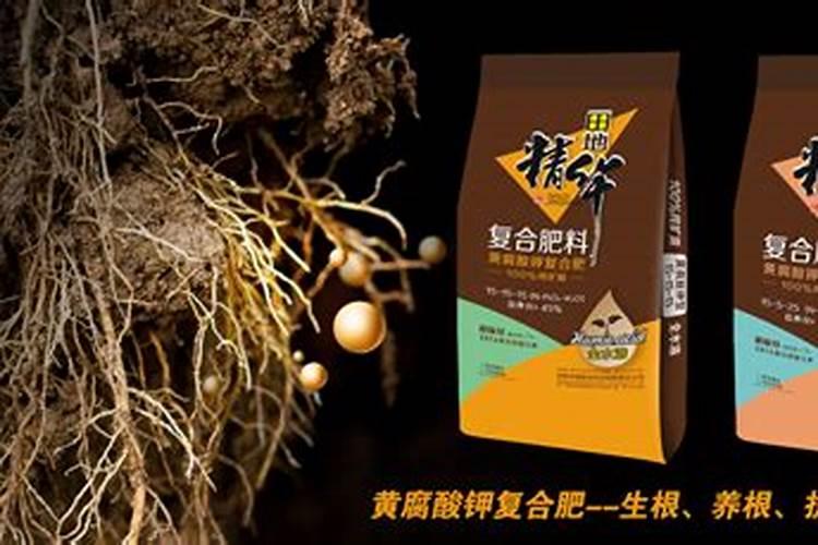 辣椒水可以浇花吗