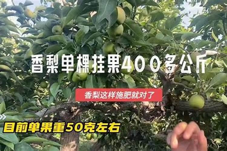 钾肥是什么肥料做成 钾肥有哪几种,主要有哪些种类