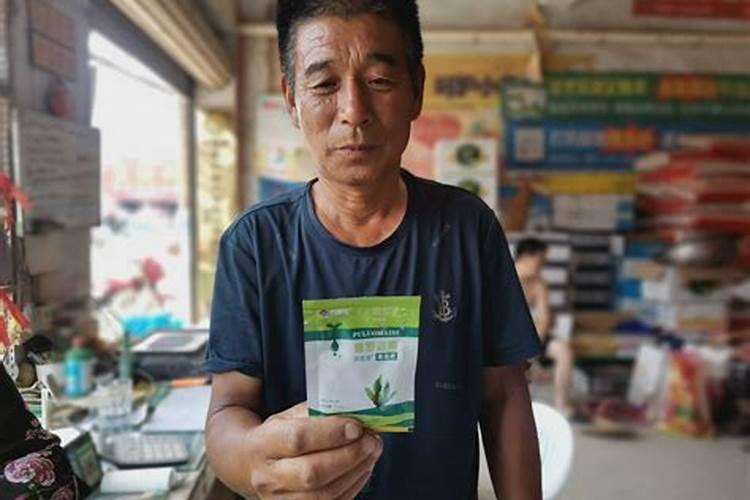 把樱桃树下面的根拿来栽没有苗能活吗？