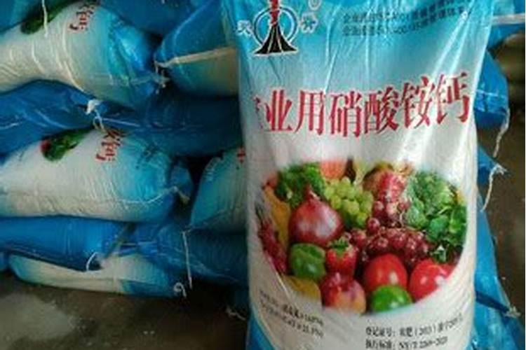 氮肥适用哪些花卉