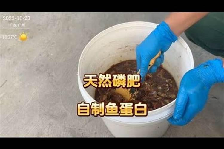 磷肥是什么肥料