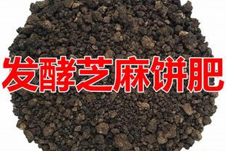 芝麻饼怎么发酵成肥料