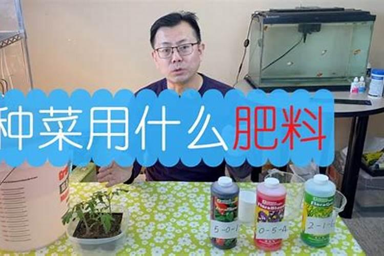 大蒜浇水最佳时间 什么时候浇水好