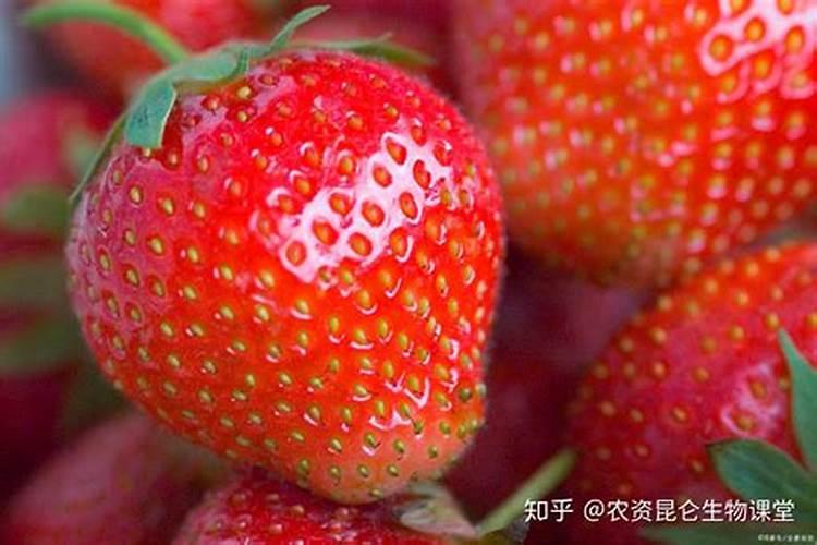 硫酸钾复合肥怎么用,硫酸钾复合肥施用方法