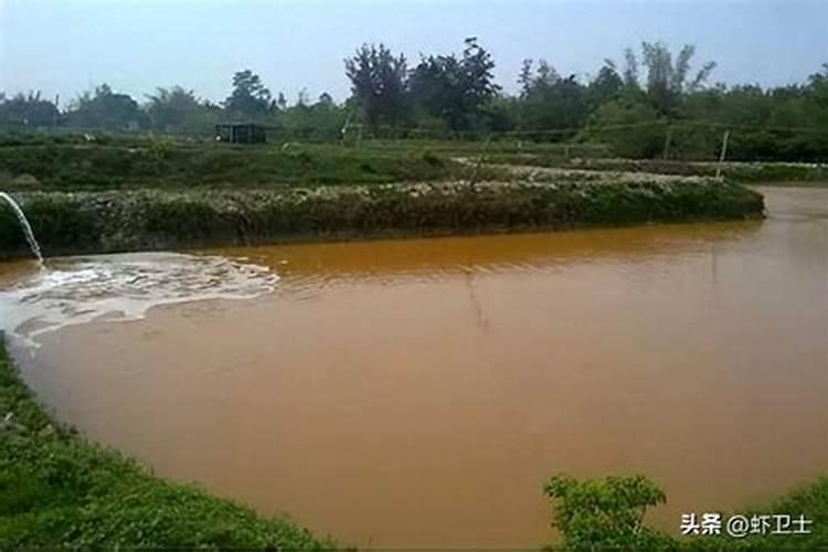 水溶肥和普通化肥有什么区别？