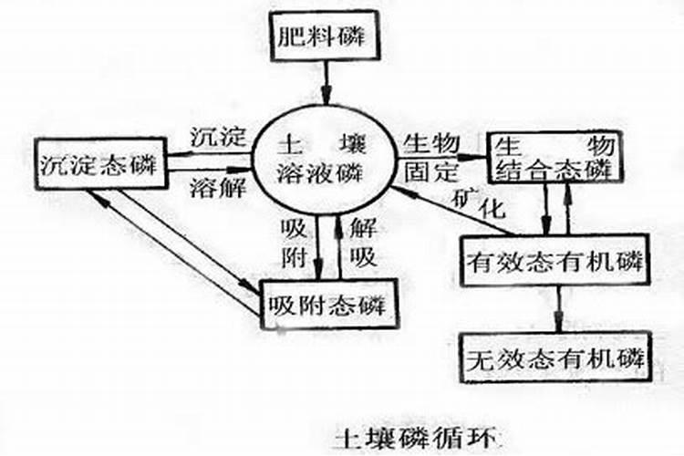 钾是庄稼不可缺少的一种元素,它的作用是什么？
