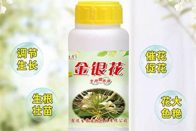 玉米啥时候打芸苔素？
