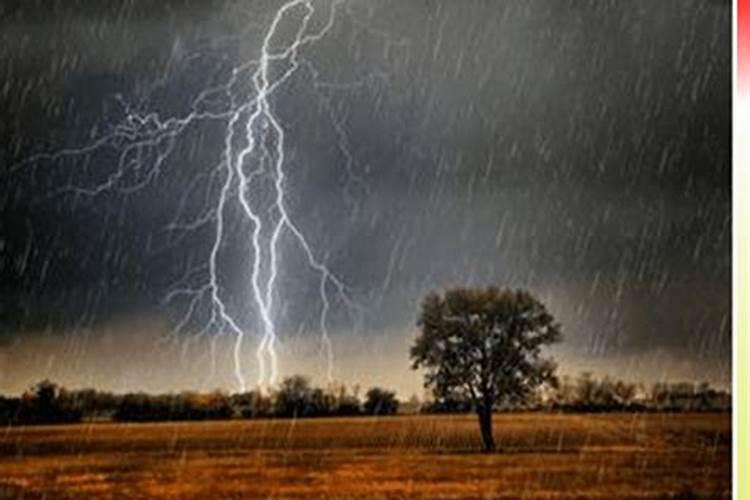 响雷后下的雨含有氮肥,说明空气中含有什么