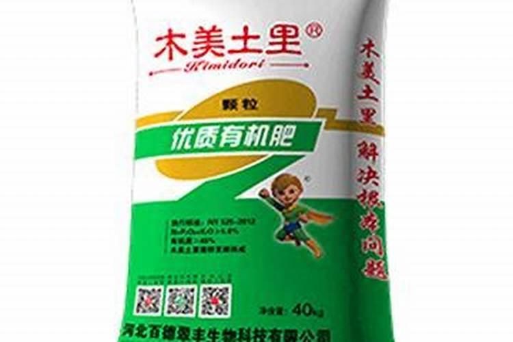 大柚子树移栽后,后期怎样护理好？
