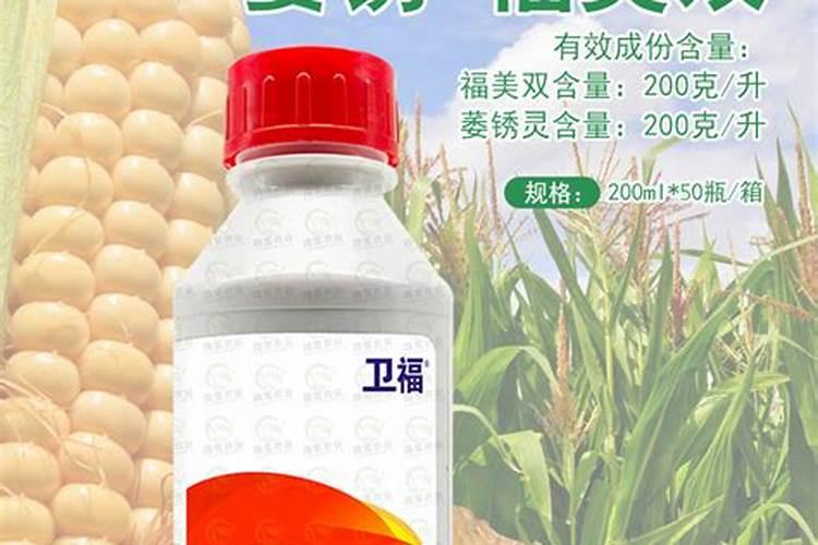 24一表芸苔素内酯作用