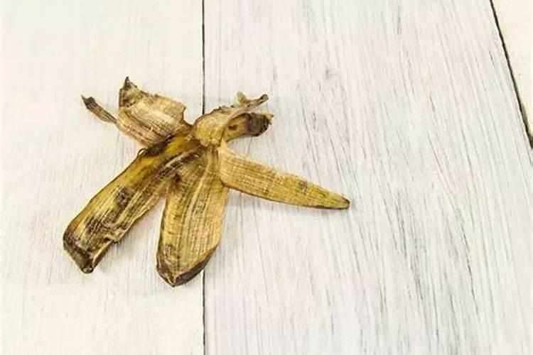 芝麻饼怎么发酵成肥料 芝麻饼到底怎么发酵成肥料