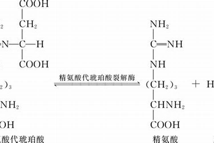 尿素属于什么氮肥？