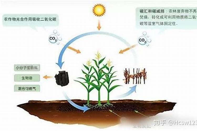 氮肥与尿素肥有什么区别