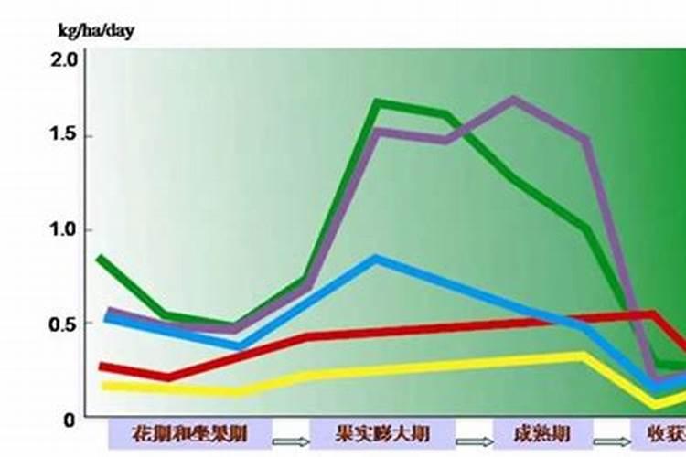 柑橘树施什么复合肥好呢？一年要施多少次？(大树)