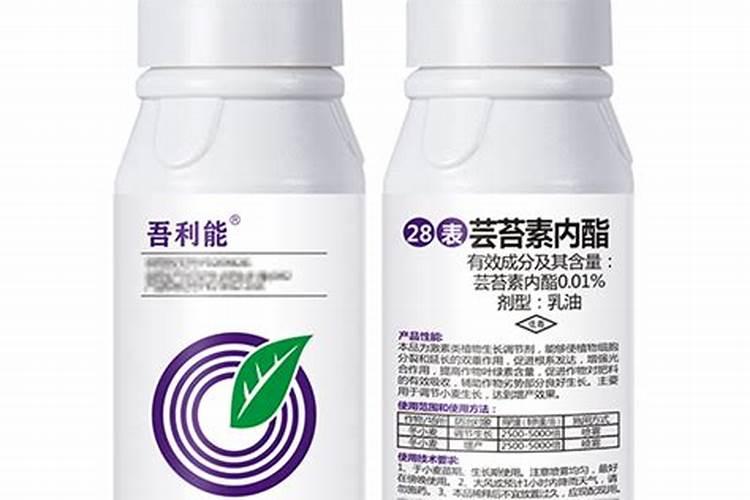 农作物缺钾时,其症状首先表现为()。
