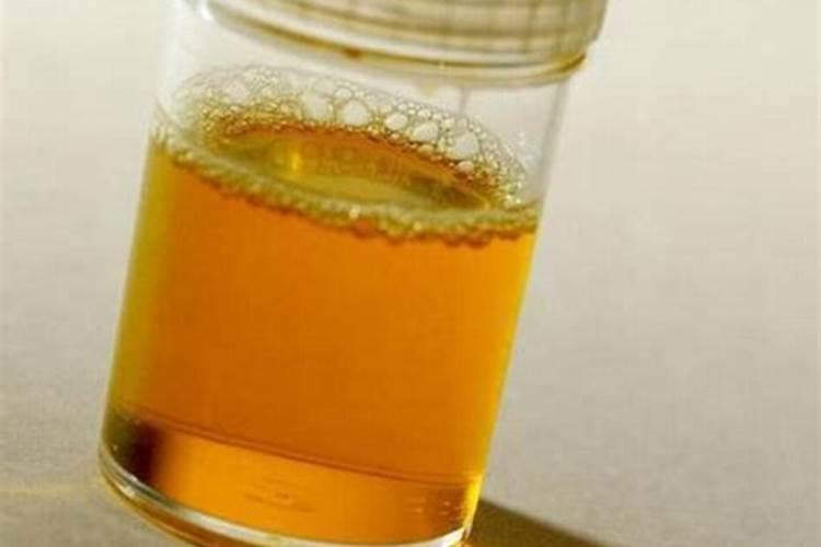 种菜用什么肥最好