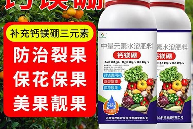 在养花时如何使用磷肥