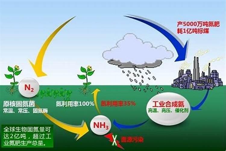 无机氮肥有哪些