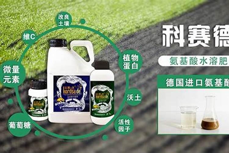 葡萄上怎么用芸苔素