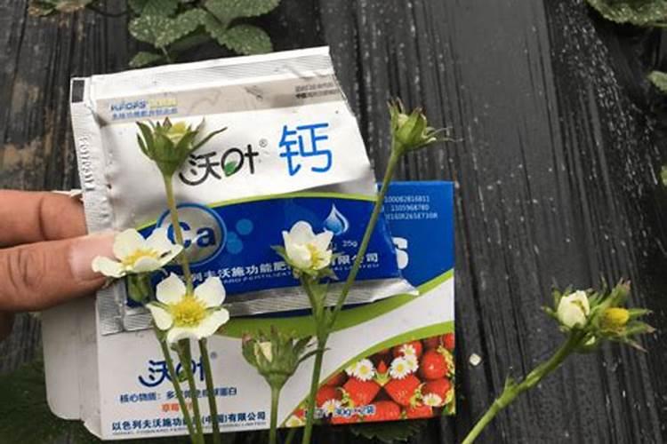 蔬菜追肥时,如果用错了钙肥会造成什么后果？